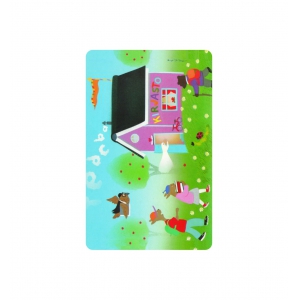  Ving compatible card