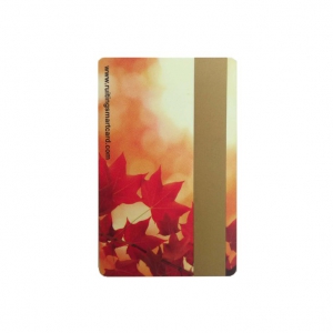 Magnetic Card